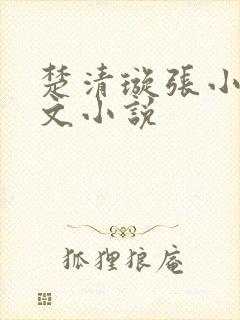 楚清璇张小凡全文小说