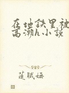 在地铁里被弄到高潮h小说