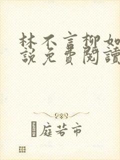 林不言柳如烟小说免费阅读封面
