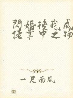 闪婚后我成了大佬掌中之物在哪个app看封面