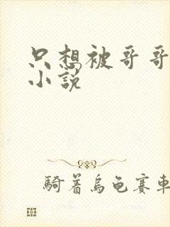 只想被哥哥惩罚小说