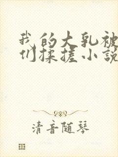 我的大乳被民工们揉搓小说