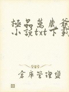 极品万岁爷妖刀小说txt下载