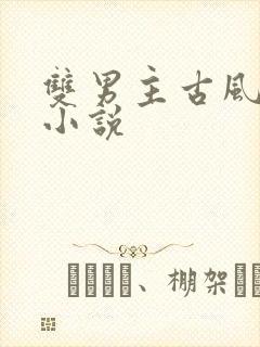 双男主古风言情小说