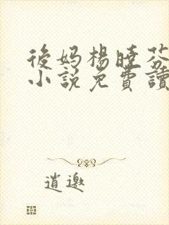 后妈杨晓芬王磊小说免费读