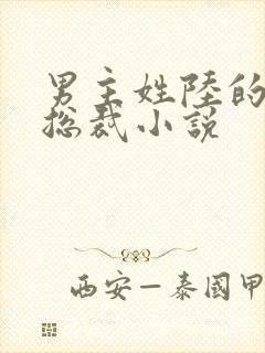 男主姓陆的豪门总裁小说封面