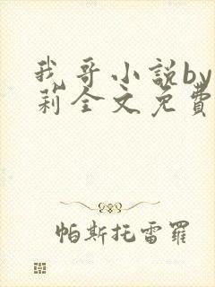 我哥小说by雪莉全文免费阅读