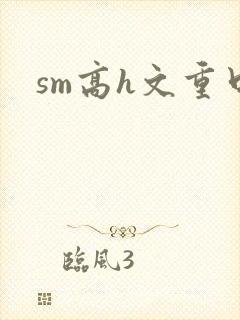 sm高h文重口