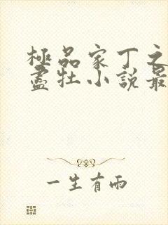 极品家丁之遗芳尽牡小说最新章节更新
