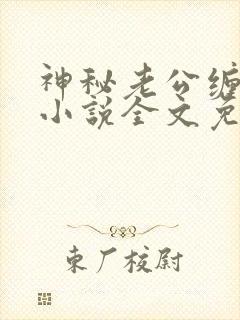 神秘老公缠上我小说全文免费阅读封面