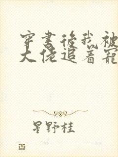 穿书后我被四个大佬追着宠下载全文封面
