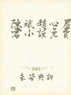 陈斌赵心眉高婉君小说免费阅读封面