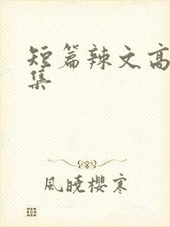 短篇辣文高h合集