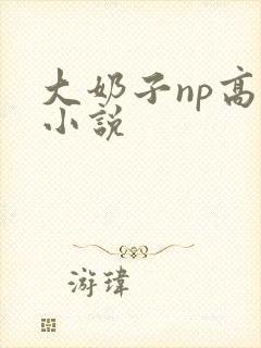 大奶子np高h小说