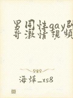 男同性gay帅哥激情视频封面