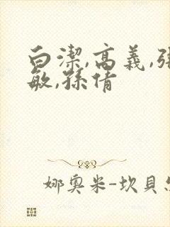 白洁,高义,张敏,孙倩封面