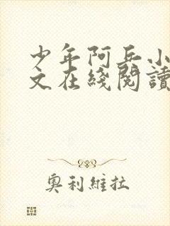 少年阿兵小说全文在线阅读