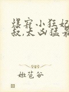 爆宠小狂妃:皇叔,太凶猛最新章节