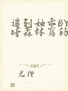追到她乖BY黑暗森林写的小说封面
