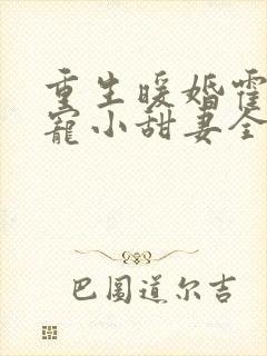 重生暖婚霍总狠宠小甜妻全文阅读