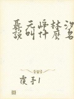 聂元峥林汐汐小说叫什么名字