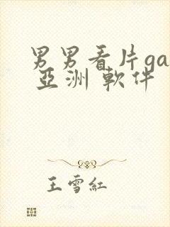 男男看片gay 亚洲 软件
