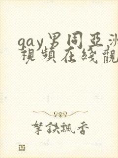 gay男同亚洲视频在线观看