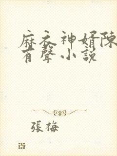 麻衣神婿陈黄皮有声小说封面