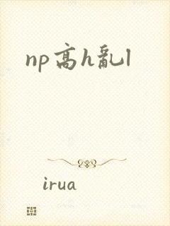 np高h乱l封面
