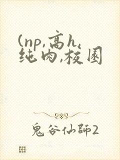 (np,高h,纯肉,校园