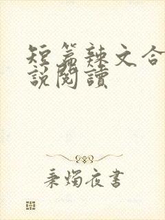 短篇辣文合集小说阅读封面