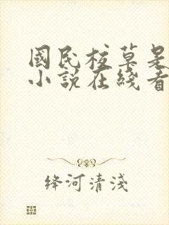 国民校草是女生小说在线看封面