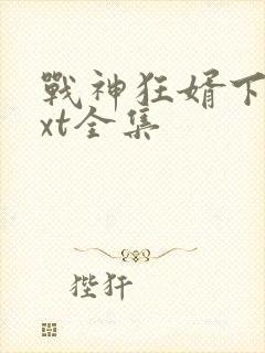 战神狂婿下载txt全集