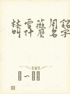 林雪薇周铭小说叫什么名字