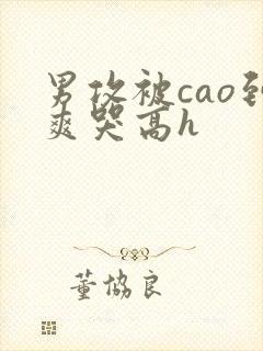 男攻被cao到爽哭高h封面