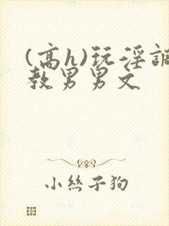 (高h)玩淫调教男男文