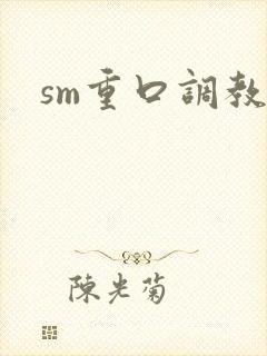 sm重口调教文