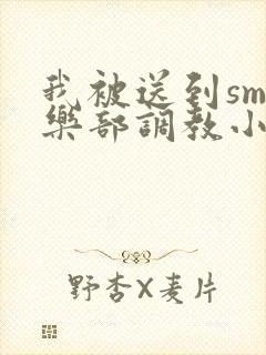 我被送到sm俱乐部调教小说