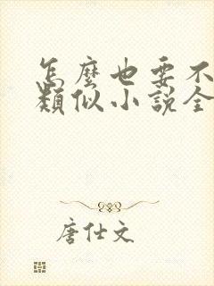 怎么也要不够她类似小说全文免费封面