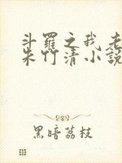 斗罗之我老婆是朱竹清小说