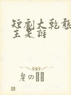 短剧大乾憨婿男主是谁