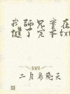 我师兄实在太稳健了完本txt下载