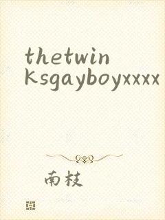 thetwinksgayboyxxxx封面