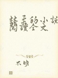 林柔的小说在线阅读全文
