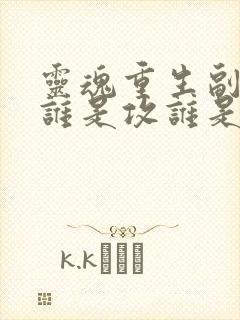 灵魂重生副cp谁是攻谁是受