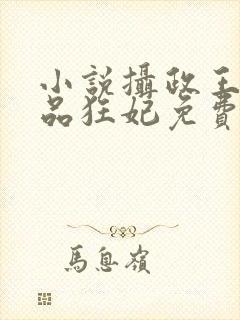 小说摄政王的医品狂妃免费看