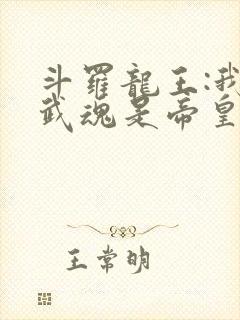 斗罗龙王:我的武魂是帝皇铠甲