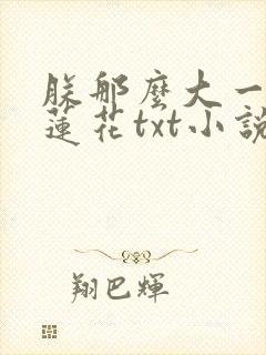 朕那么大一朵白莲花txt小说