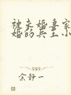 被未婚妻家族退婚的兵王小说封面