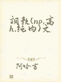 调教(np,高h,纯肉)文